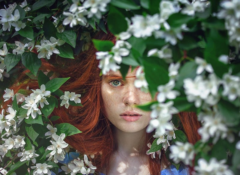 Fantasy blooms